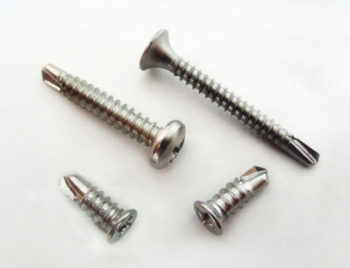 STAINLESS STEEL SCREW